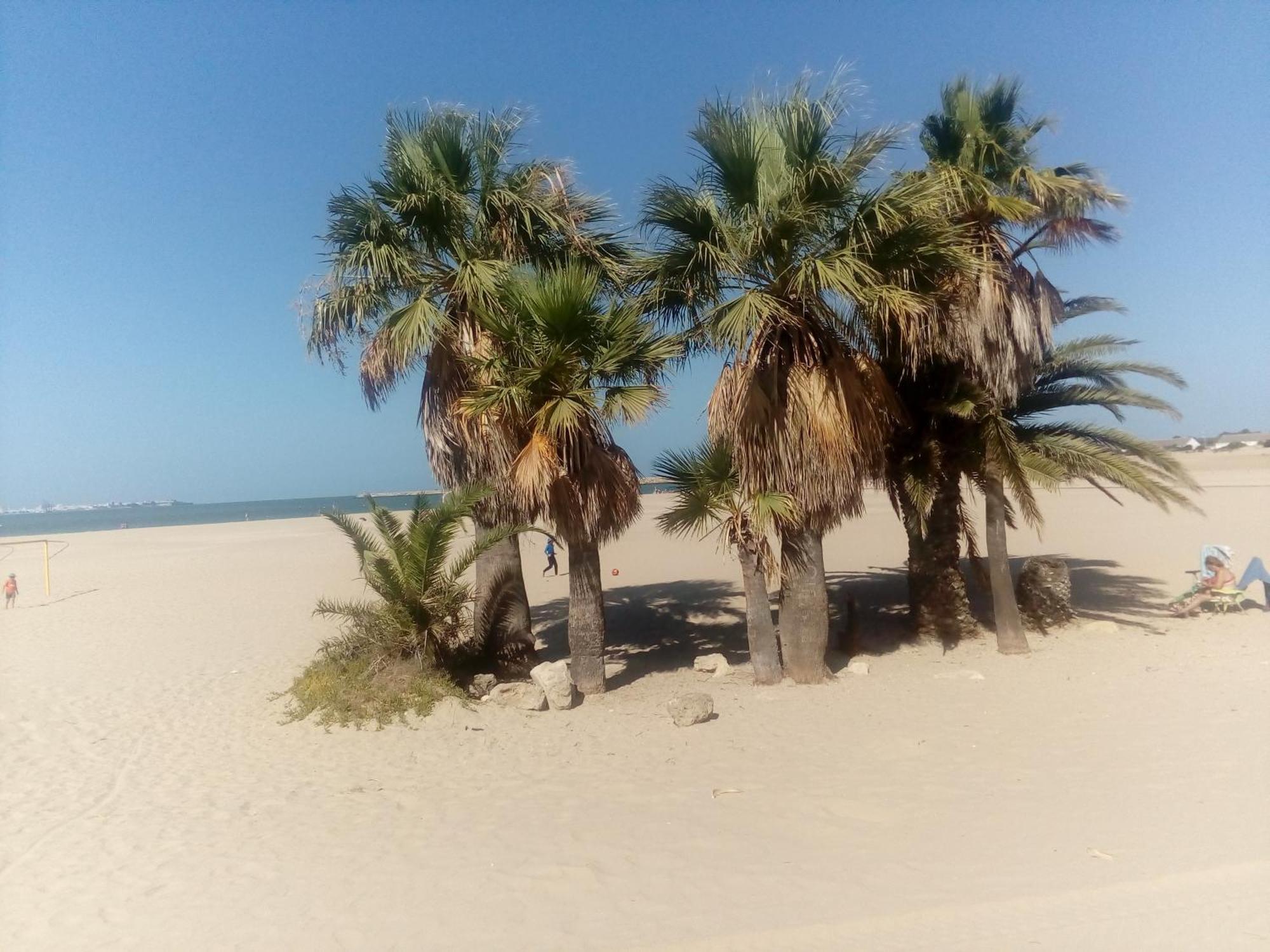 Apartamento Primera Linea De Playa Valdelagrana El Puerto de Santa María Eksteriør billede